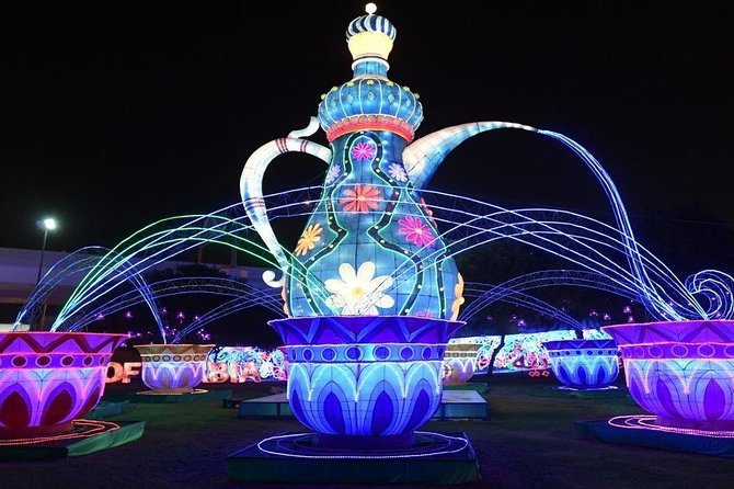 Full Day Private Dubai City Tour with Miracle Garden, Frame & Global Village - Who should book this Dubai city tour?