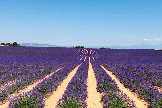 Full-day Private Tour Gorges du Verdon (LAVENDER JUNE 15/JULY 15) - Sainte-Croix-du-Verdon and the second lavender plateau