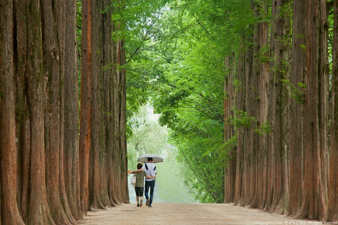 Full Day Private Tour Nami Island, Garden & Petite France - Pinocchio and Da Vinci, an Italian theme park to finish