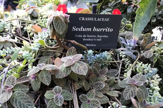 Full Day Puerto Vallarta Botanical Garden Tour - The bus ride is useful, but not luxurious