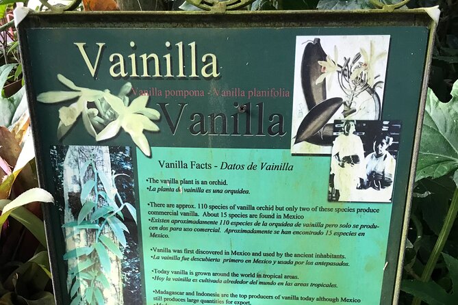 Full Day Puerto Vallarta Botanical Garden Tour - Lunch and the visitor center break