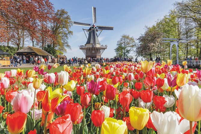Full-Day Skip the Line Keukenhof and Canal Cruise from Amsterdam - Key points to know before you book