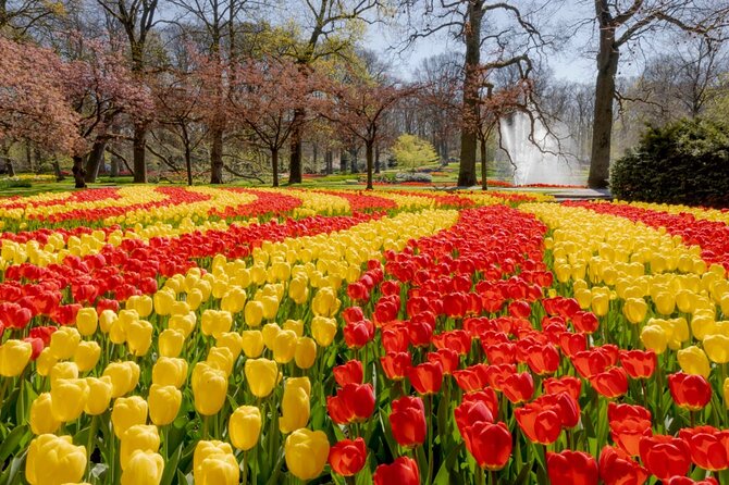 Full-Day Skip the Line Keukenhof and Canal Cruise from Amsterdam - Returning to Amsterdam on your own schedule