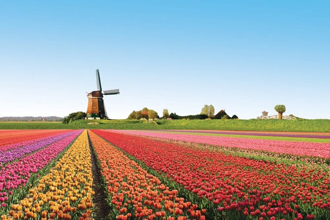 Full-Day Skip the Line Keukenhof and Canal Cruise from Amsterdam - Seven million bulbs at Keukenhof