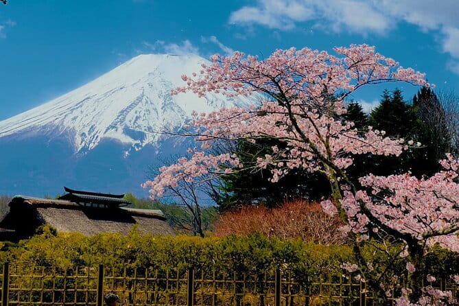 Full Guided Mt. Fuji & Hakone Attractive Private Day Tour - Why This Private Fuji and Hakone Day Works