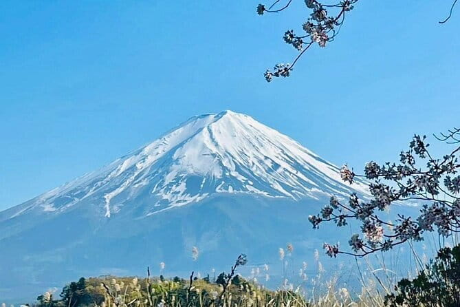 Full Guided Mt. Fuji & Shiba-Sakura Festival One Day Pvt.Tour - Oshino Hakkai’s eight clear ponds