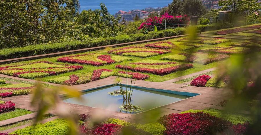 Funchal: Botanical Garden and Old Town Private Tuk-Tuk Tour - Key points at a glance