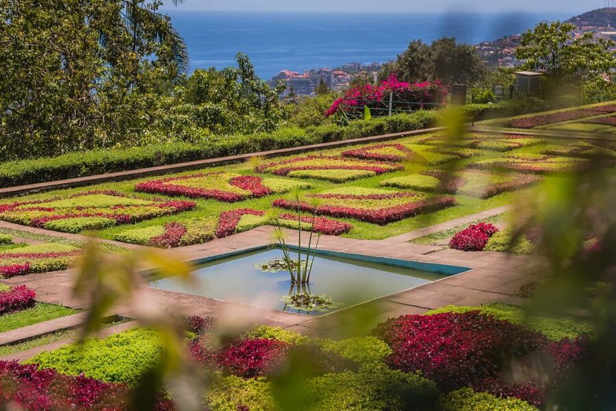 Funchal: Botanical Garden and Old Town Private Tuk-Tuk Tour - The uphill ride to Madeira Botanical Garden
