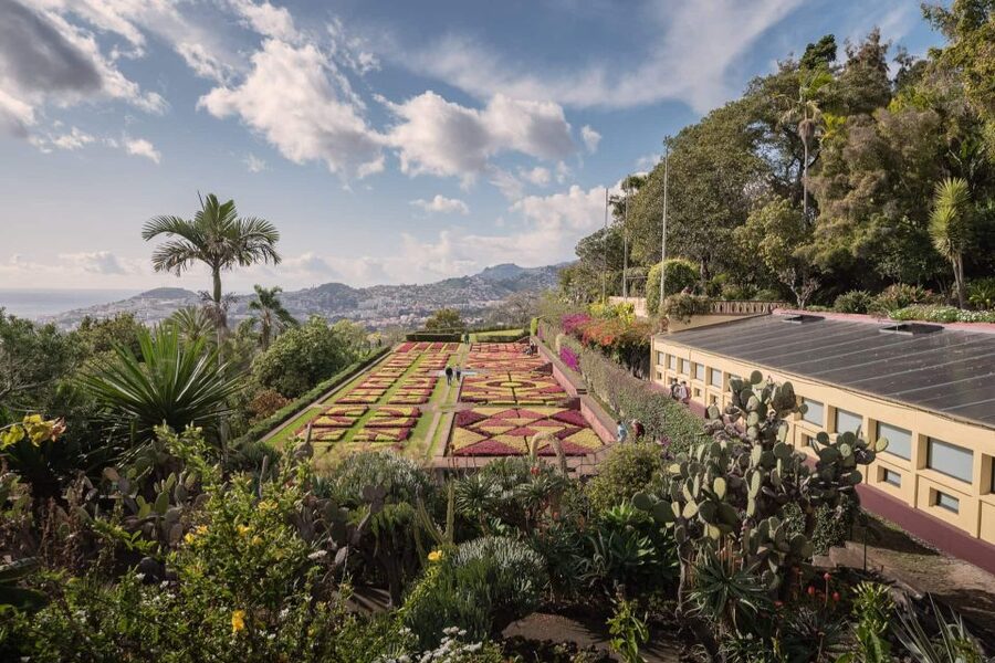 Funchal: Botanical Garden and Old Town Private Tuk-Tuk Tour - What the garden stop is really like