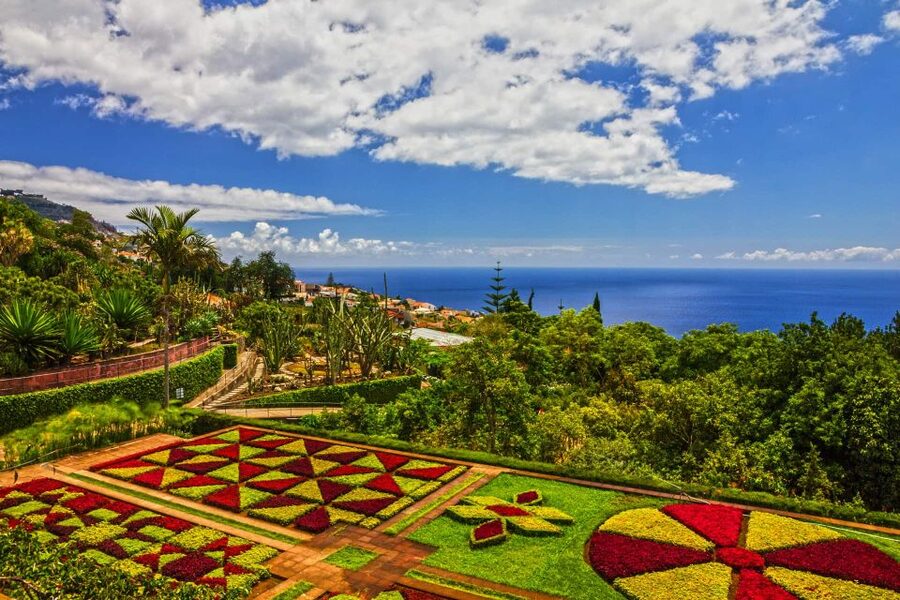 Funchal: Botanical Garden and Old Town Private Tuk-Tuk Tour - Starting in Funchal’s Zona Velha