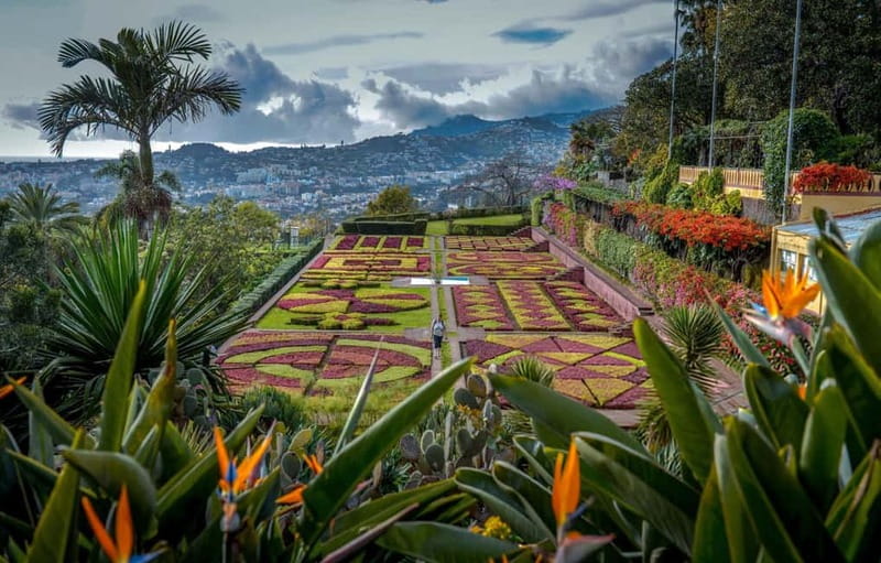 Funchal: Botanical Garden & Old Town Tour by TukTuk (1h45) - The 15-minute ride up to the garden