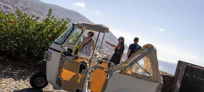 Funchal: Botanical Garden & Old Town Tour by TukTuk (1h45) - Returning to Funchal and choosing your drop-off