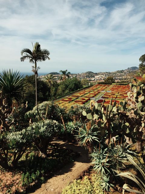 Funchal: Guided Old Town Tuk Tuk Tour and Botanical Gardens - Key points at a glance