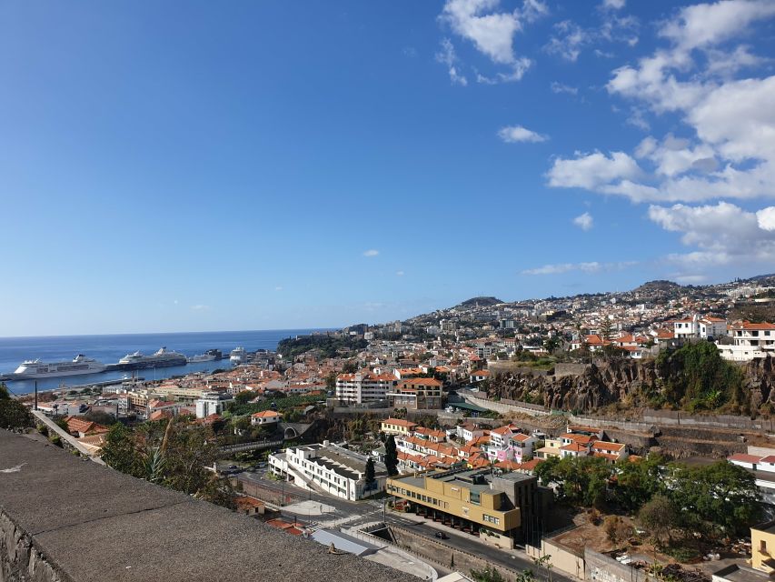 Funchal: Madeira Botanical Garden Tuk-Tuk Tour + Old Town - Inside Madeira Botanical Garden