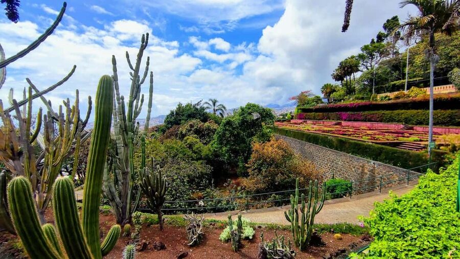 Funchal: Madeira Botanical Garden Tuk-Tuk Tour + Old Town - Who will enjoy this experience most