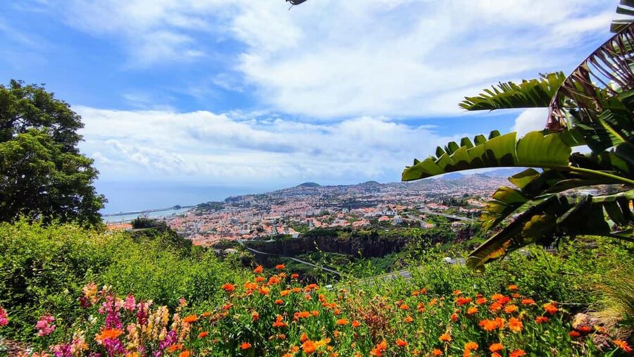 Funchal: Madeira Botanical Garden Tuk-Tuk Tour + Old Town - My booking advice