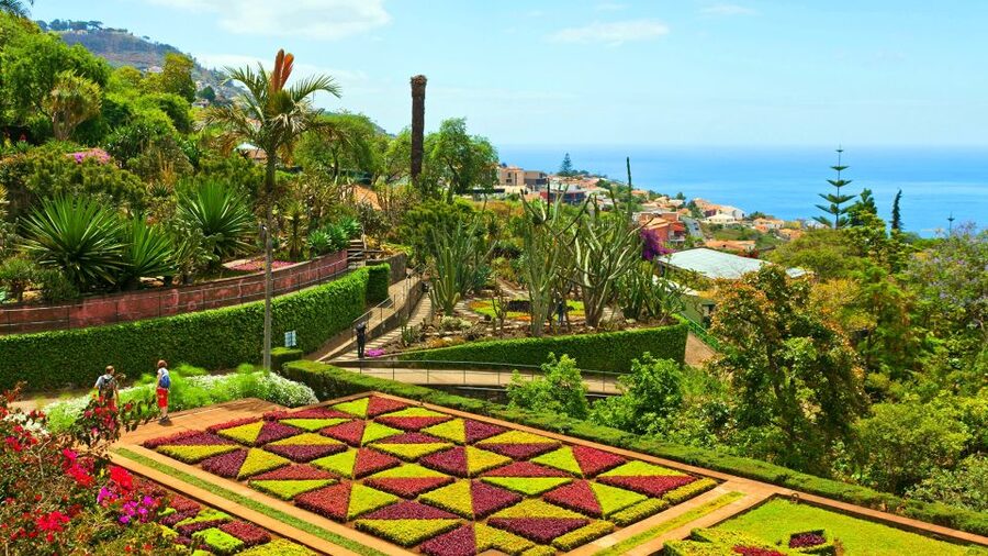 Funchal: Madeira Botanical Garden Tuk-Tuk Tour + Old Town - Pickup in Funchal and the climb into the hills