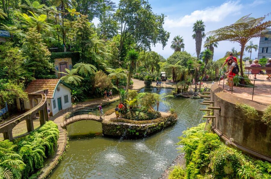 Funchal: Monte Palace Tropical Gardens Tuk Tuk Tour - City views before Monte Palace