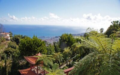 Funchal: Monte Palace Tropical Gardens Tuk Tuk Tour