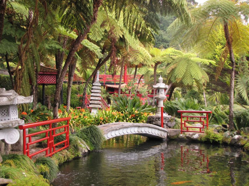 Funchal: Monte Palace Tropical Gardens Tuk Tuk Tour - Who will enjoy this tour most?