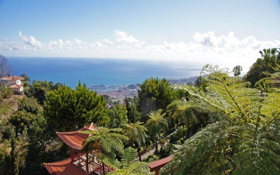 Funchal: Monte Palace Tropical Gardens Tuk Tuk Tour - A church visit with a view from Monte