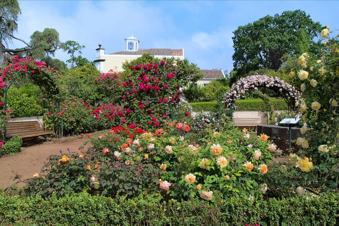 Funchal Old Town & Palheiro Gardens Private Tuk Tuk Tour - Starting among Funchal’s 15th-century streets