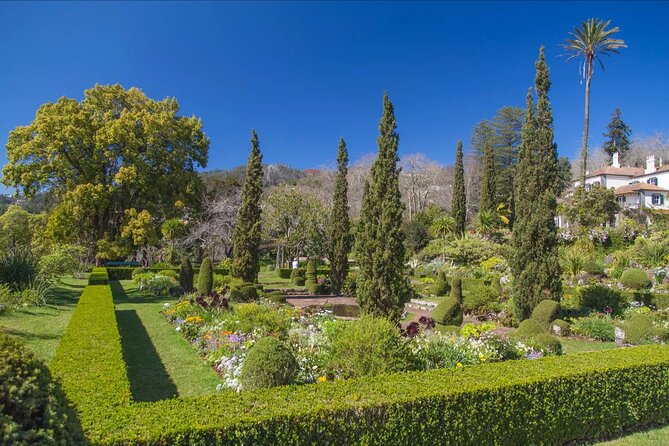 Funchal Old Town & Palheiro Gardens Private Tuk Tuk Tour - One hour at Palheiro Gardens