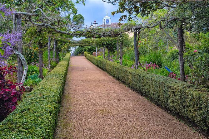 Funchal Old Town & Palheiro Gardens Private Tuk Tuk Tour - What the private format is worth