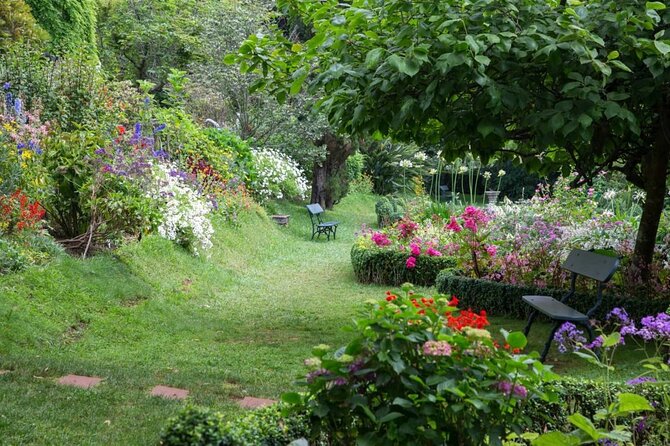 Funchal Old Town & Palheiro Gardens Private Tuk Tuk Tour - The 30-minute climb to Palheiro Gardens