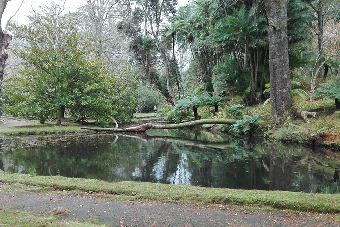 Furnas Lake Hotsprings and Gardens Van Tour - Why Furnas makes a strong first look at São Miguel