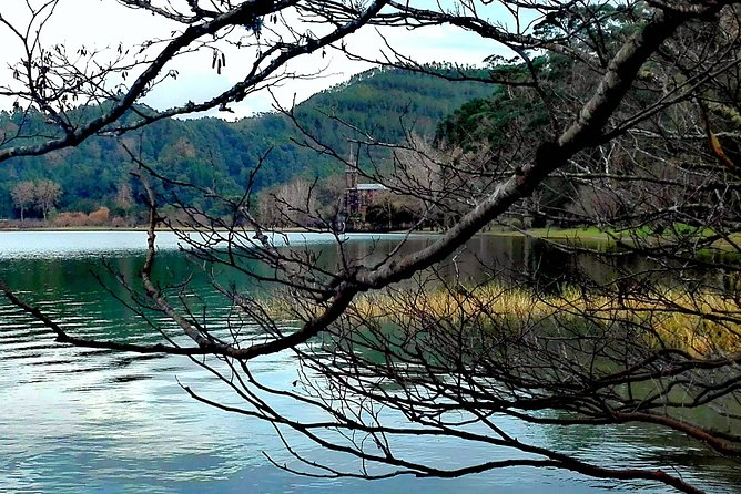 Furnas Lake Hotsprings and Gardens Van Tour - Seeing Furnas Lake and the volcano