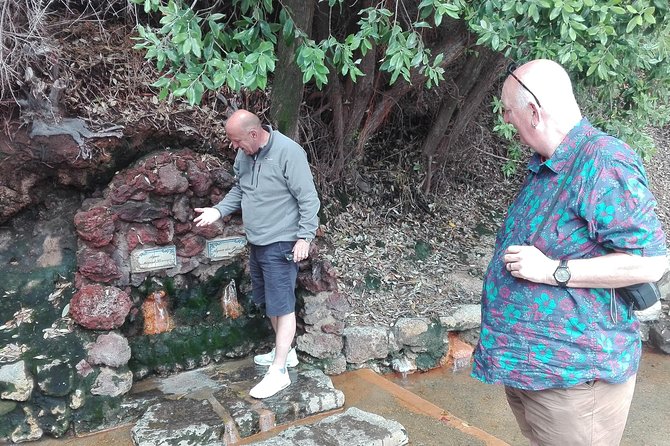 Furnas Lake Hotsprings and Gardens Van Tour - Watching Cozido das Furnas cook below ground