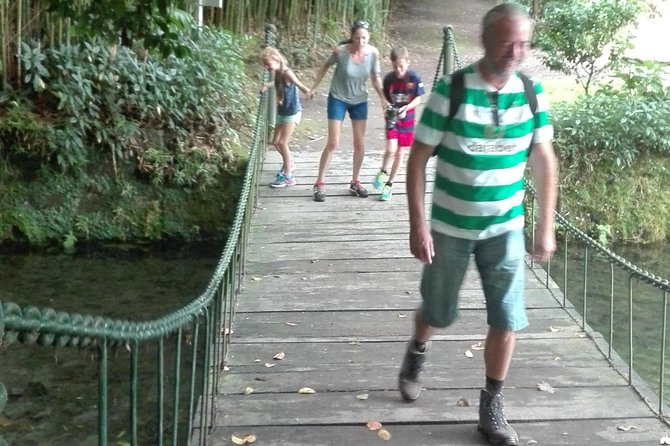 Furnas Lake Hotsprings and Gardens Van Tour - Tea fields and the factory visit