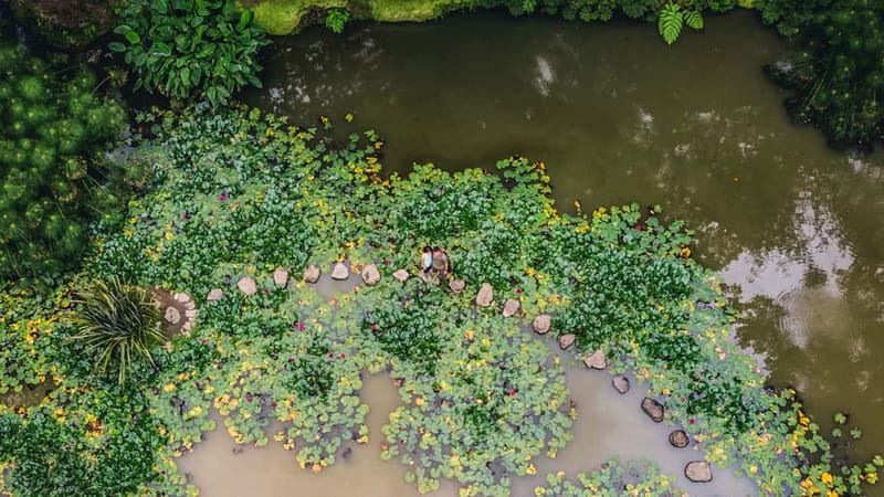 Furnas & Terra Nostra Gardens Biologist-guided e-Tour +lunch - Key points at a glance