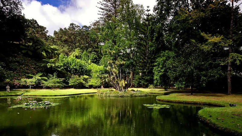 Furnas & Terra Nostra Gardens Biologist-guided e-Tour +lunch - One hour in Furnas village