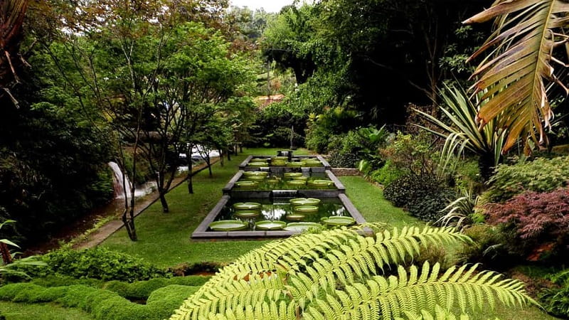 Furnas & Terra Nostra Gardens Biologist-guided e-Tour +lunch - Terra Nostra’s plants, paths, and seasonal changes