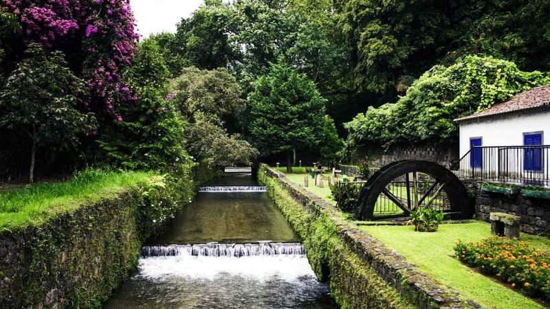 Furnas & Terra Nostra Gardens Biologist-guided e-Tour +lunch - Starting at Vila Franca do Campo Marina