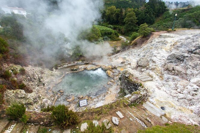 Furnas & Terra Nostra Park: Biologist-guided Botanic Tour +lunch - Key points to know before booking