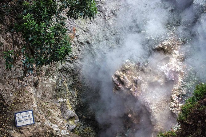 Furnas & Terra Nostra Park: Biologist-guided Botanic Tour +lunch - The Vila Franca do Campo start