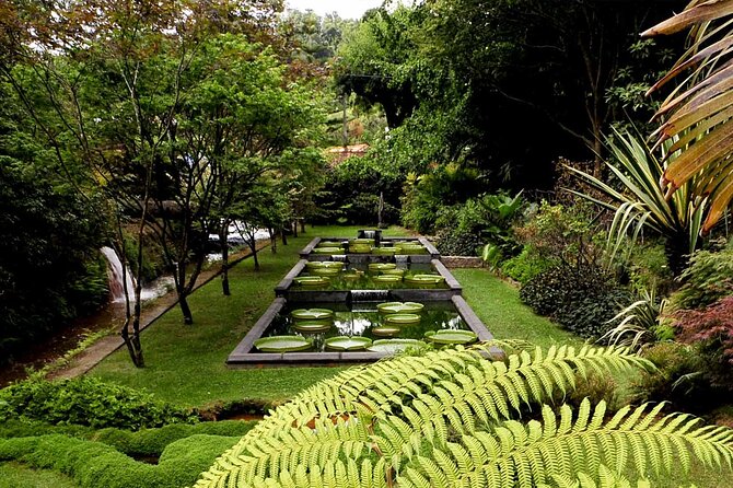 Furnas & Terra Nostra Park: Biologist-guided Botanic Tour +lunch - Eating Furnas cozido cooked by volcanic heat