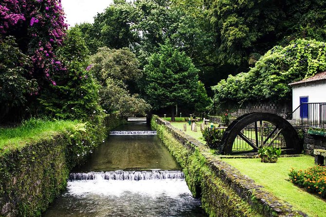 Furnas & Terra Nostra Park: Biologist-guided Botanic Tour +lunch - Terra Nostra Park’s plants and old trees
