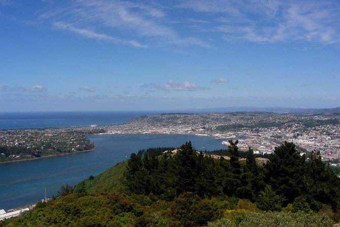Garden and City tour - Why this short Dunedin tour works well from Port Chalmers