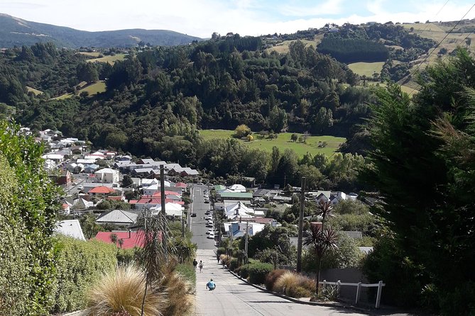Garden and City tour - Toitu Otago Settlers Museum adds local context