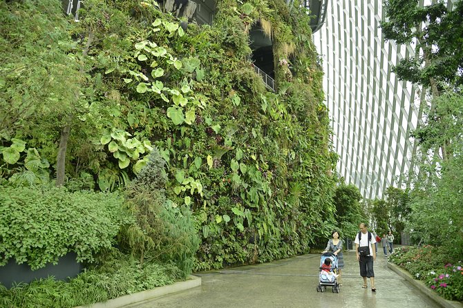 Garden by the Bay with two domes (Shared transfer) - Start with the domes, not the brochure wording