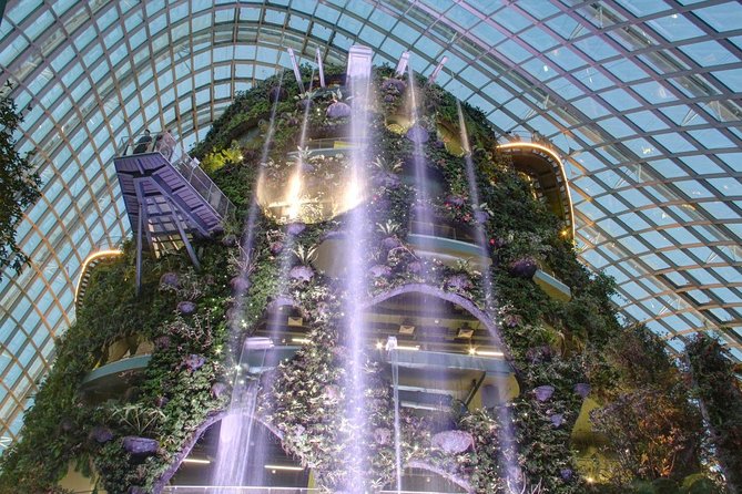 Garden by the Bay with two domes (Shared transfer) - Supertree Grove and the outdoor gardens