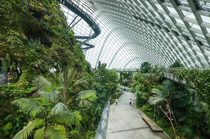 Garden by the Bay with two domes (Shared transfer) - The OCBC Skyway needs a clear answer