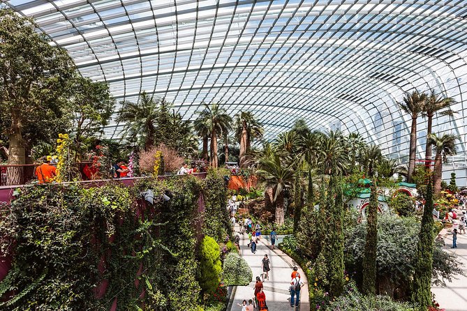 Garden by the Bay with two domes (Shared transfer) - Cloud Forest: Singapore’s cool, misty showpiece