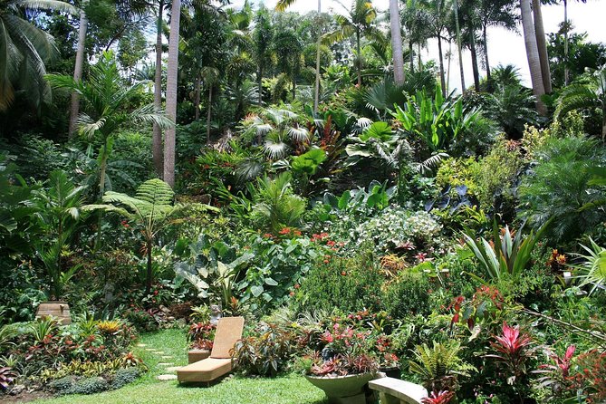 Garden Delight Full-Day Tour in Barbados - Why this Barbados garden tour works