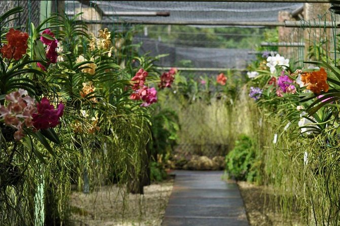 Garden Delight Full-Day Tour in Barbados - A guide-led day with room to wander