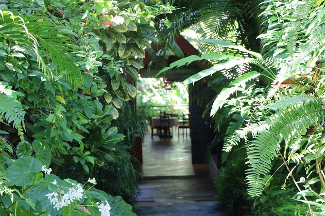 Garden Delight Full-Day Tour in Barbados - Lunch, beverages, and the practical value of the package